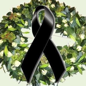 Meet your Posher, Julio